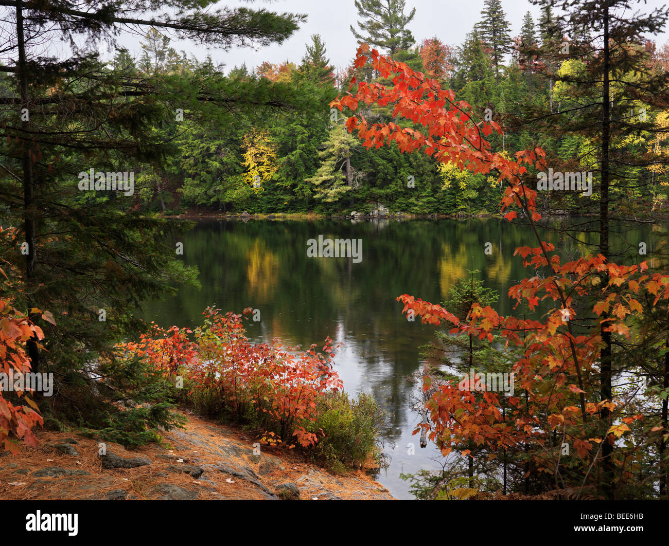 Zuerst fällt Regen auf Peck Lake. Schöne Herbst Natur Landschaft Stockfoto