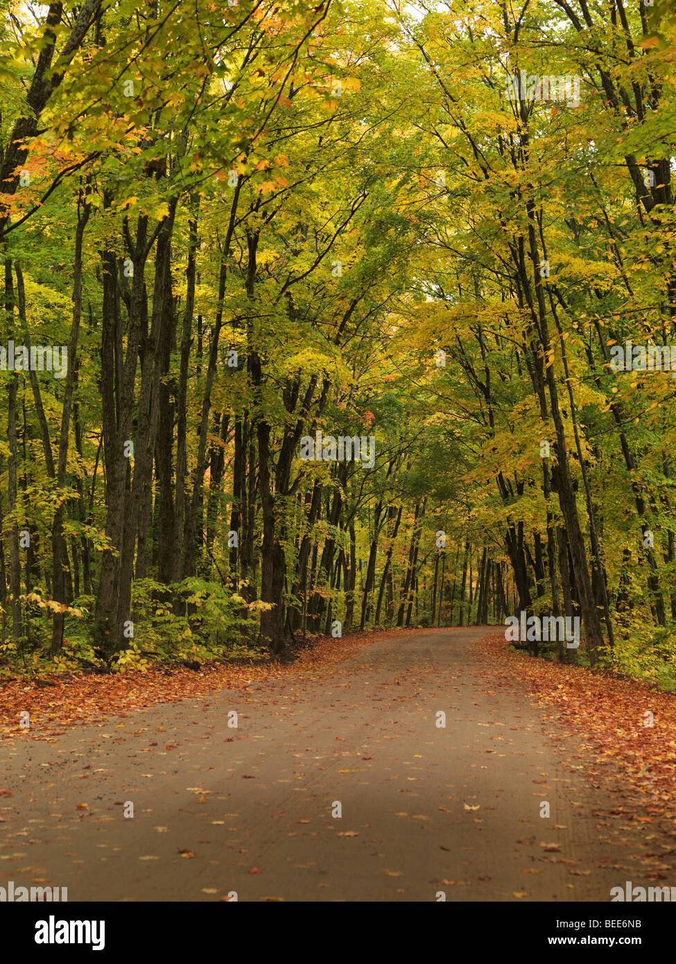 Wicklung unbefestigte Straße durch schöne Herbst Natur Landschaft. Stockfoto