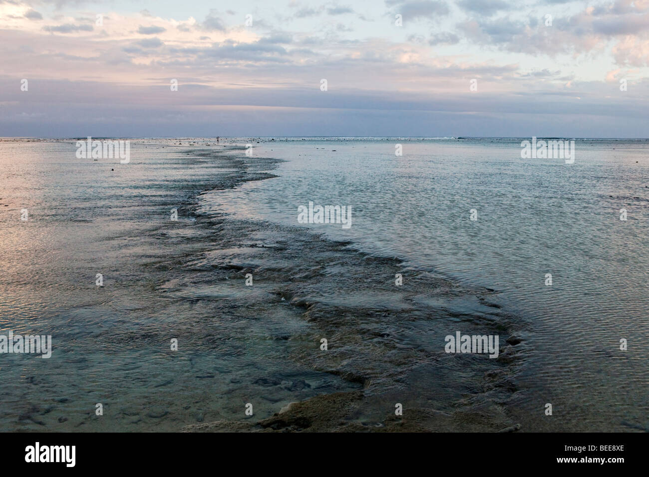 Flaches Riff erstreckt sich bis zum Horizont vor der Küste von Rarotonga in Cook-Inseln Stockfoto