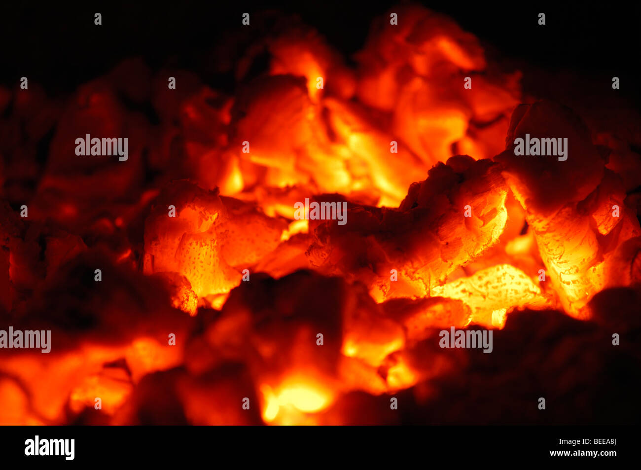 Holzfeuer Kohlen Stockfoto