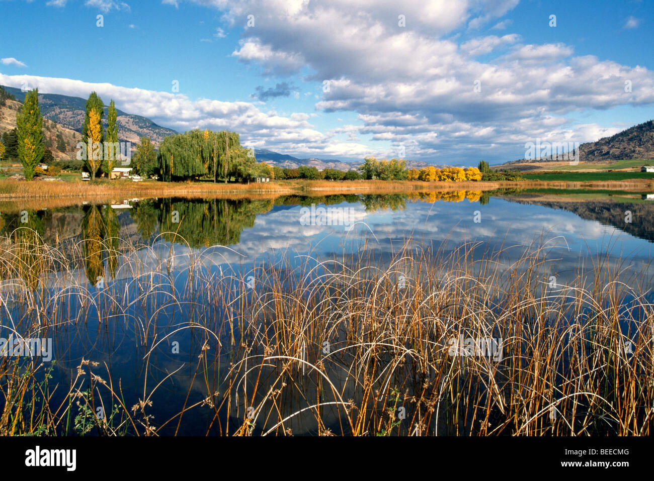 Malerische Landschaft in der Nähe von Osoyoos, BC, South Okanagan Valley, British Columbia, Kanada - Deadman See Herbst / Herbst-Saison Stockfoto