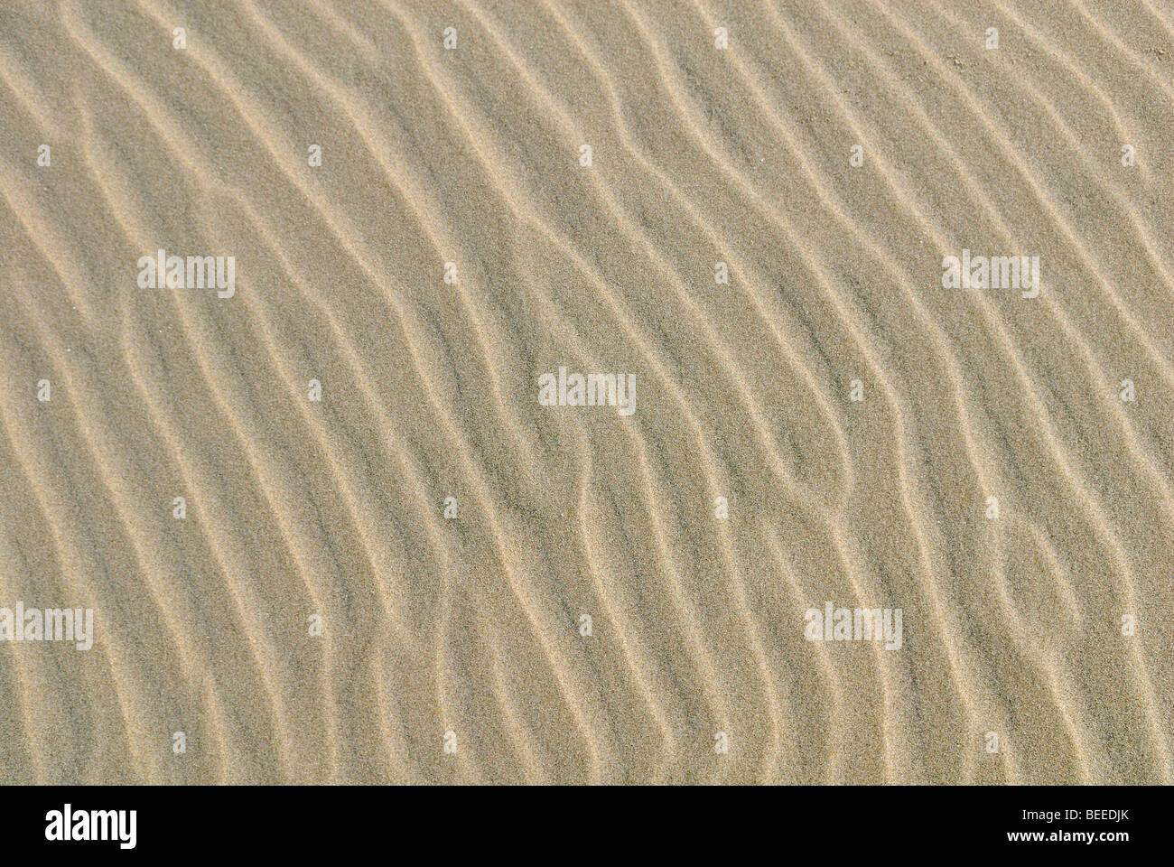 Waschbrett-Sand Struktur an einem Strand, erstellt durch wind Stockfoto