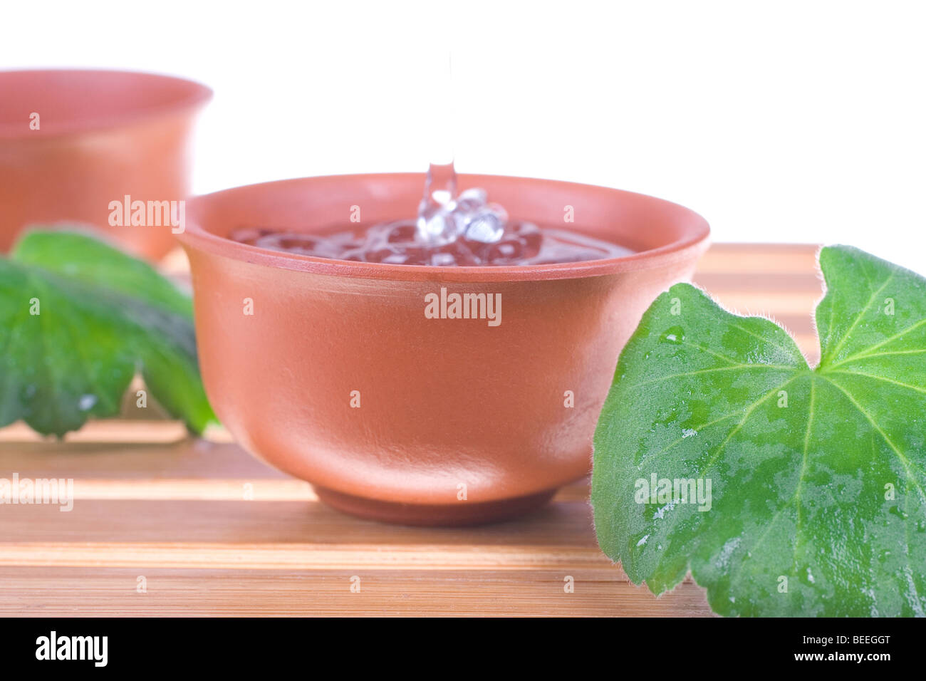 Teebaumöl für die Hautpflege auf weißem Hintergrund Stockfoto