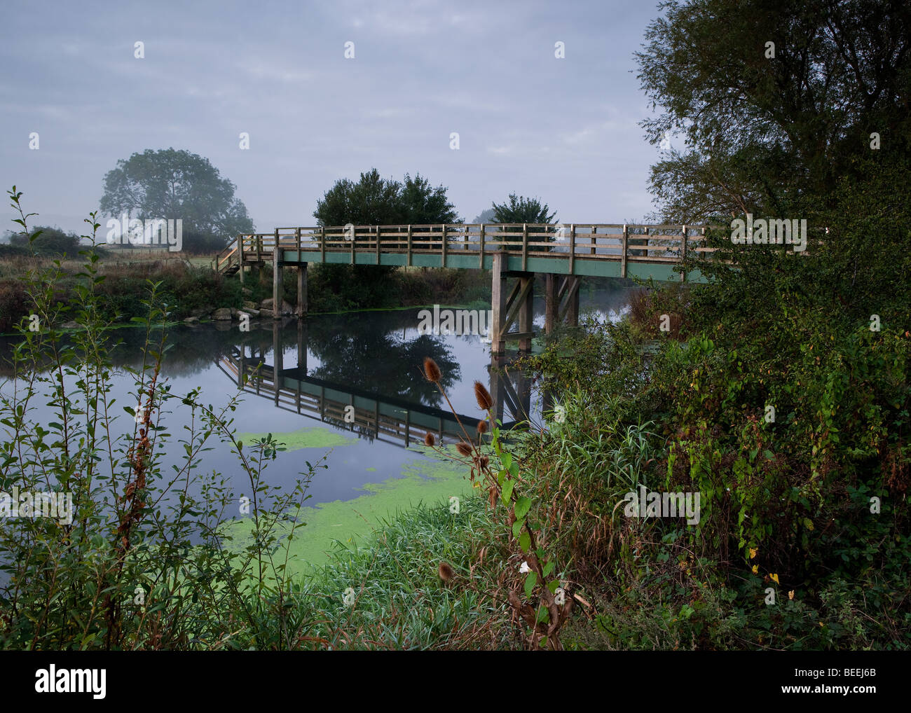 Herbst Tagesanbruch am Fluss Stour an der EyeBridge, Pamphill nr. Wimborne, Dorset Stockfoto