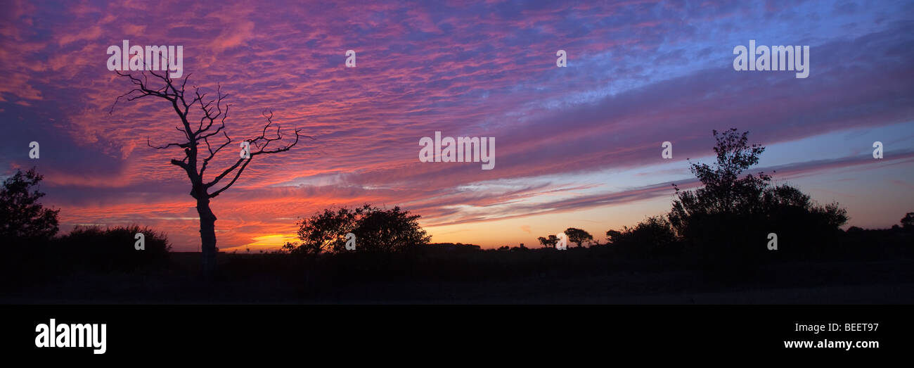 Sonnenuntergang in Ackerland Gimingham North Norfolk Stockfoto