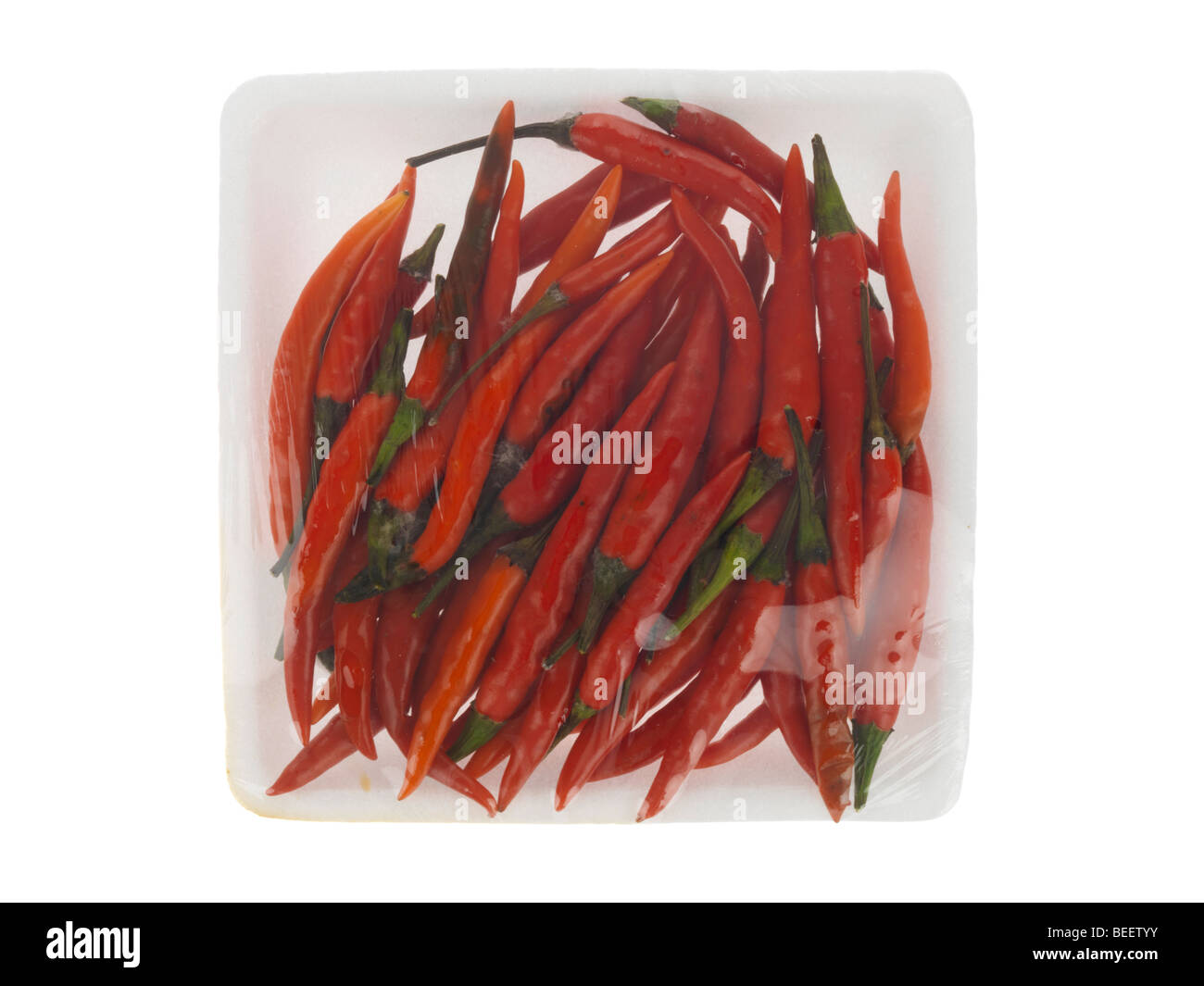 Schachtel mit frische rote Chilischoten Stockfoto