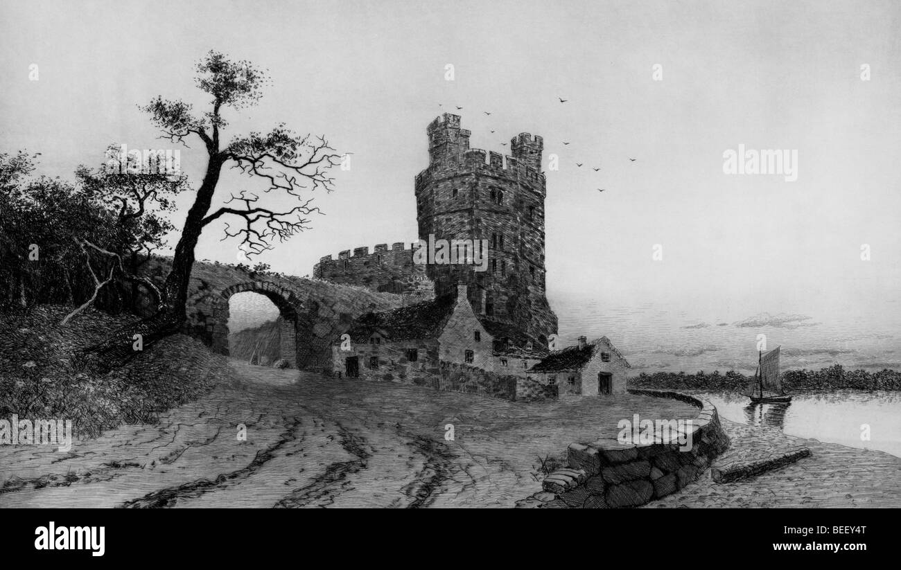Caernarvon Castle, Irland Stockfoto