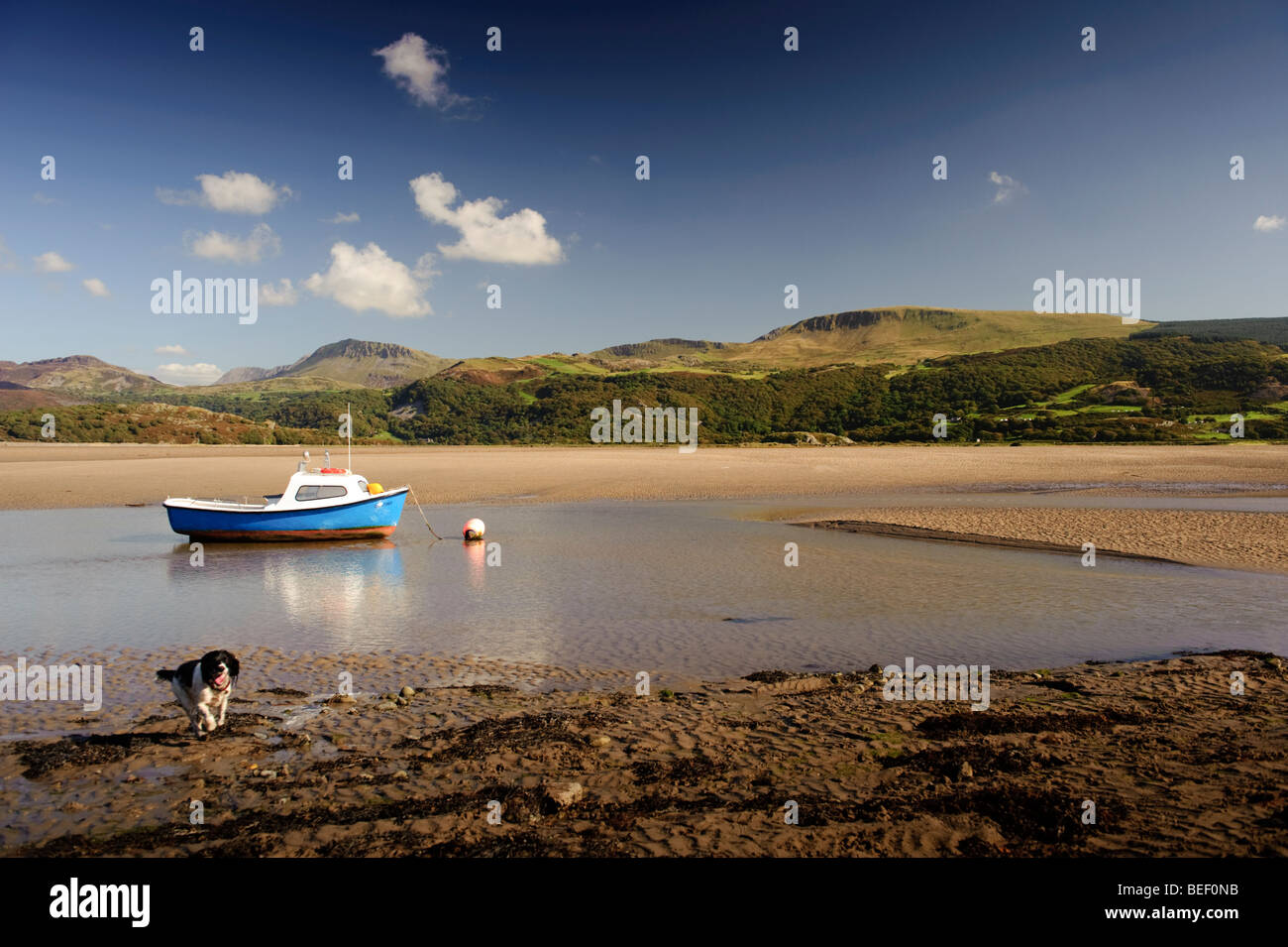 September nachmittags - The Mawddach Flussmündung und Berg Cadair Idris, Snowdonia National Park, North Wales, UK Stockfoto