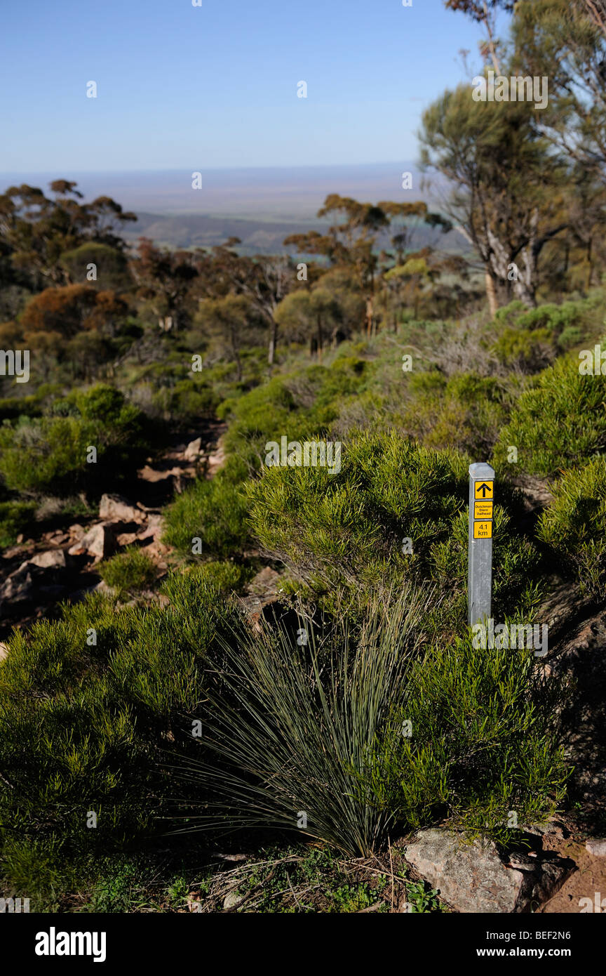 Wegweiser auf die Besteigung des Holländers Stern, Flinders Ranges, South Australia gesehen Stockfoto