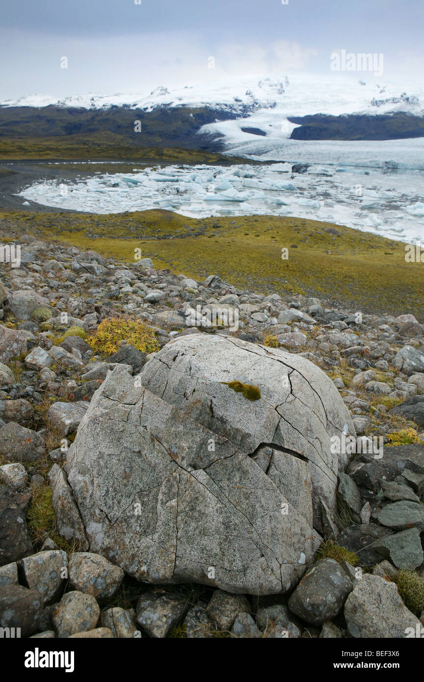 Felsen, Moos, Eisberge, Fjallsarlon Glacial Lagune, Island Stockfoto
