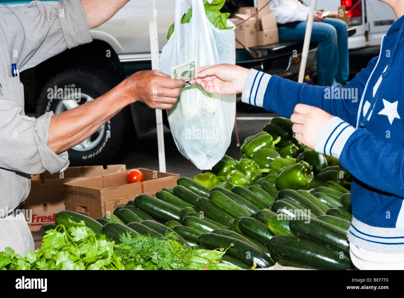 ein Kunde, der Kauf von frischen Schnittblumen auf einem Bauernmarkt in Minnesota Stockfoto