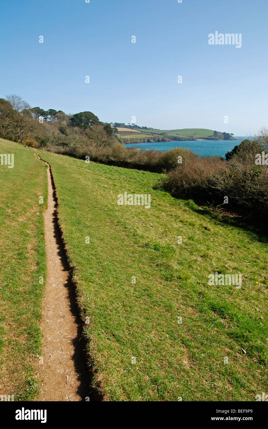 die südwestlich Küstenweg entlang den Helford River in Cornwall, Großbritannien Stockfoto