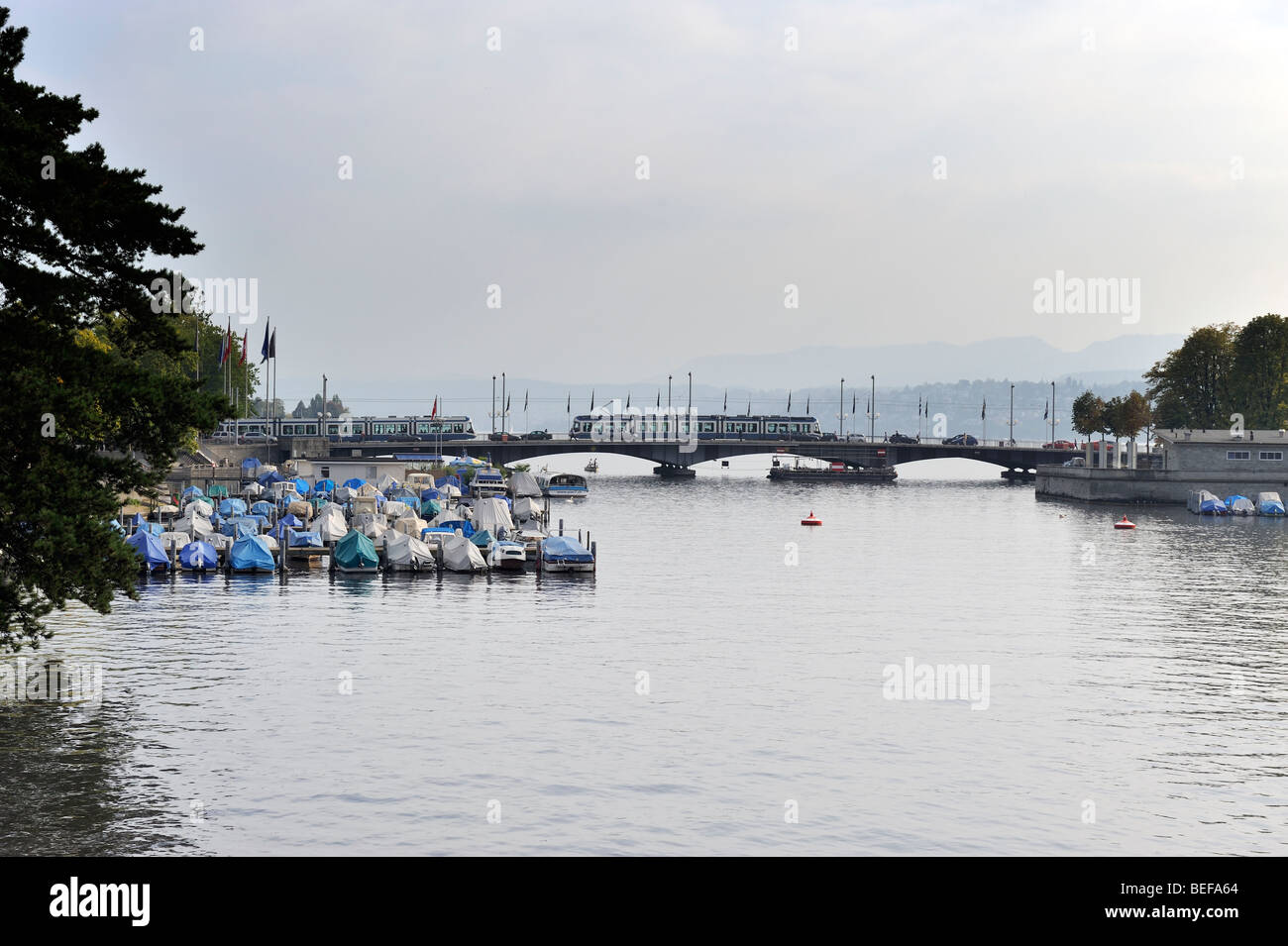 Eine Straßenbahn vorbei über die Brücke an der Mündung des Flusses Limmat beim Eintritt in den Zürichsee. Stockfoto