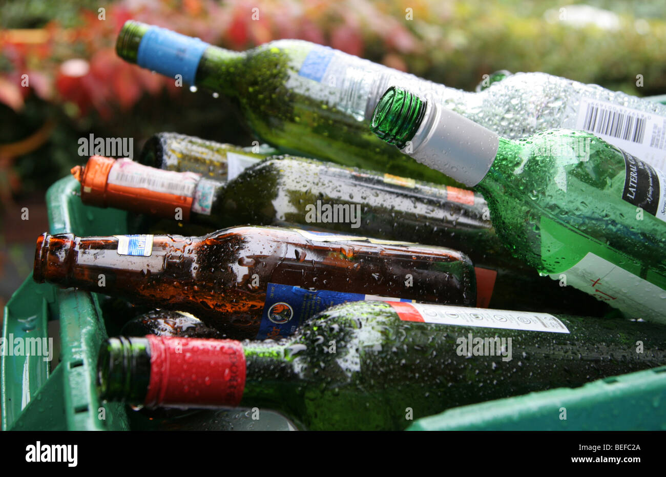 Recycling Von Glas Weinflaschen Fotos Und Bildmaterial In Hoher recycling-von-glas-weinflaschen-fotos-und-bildmaterial-in-hoher
