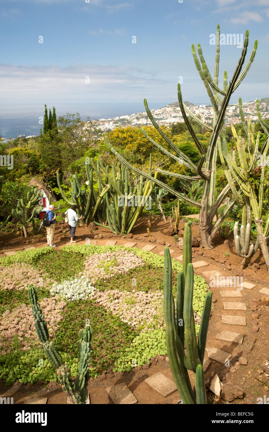 Kakteen im Botanischen Garten in Funchal Madeira. Stockfoto