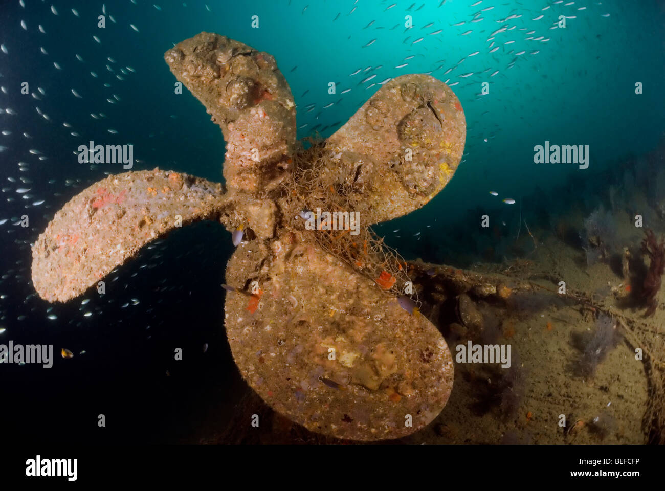Wrack Unter Wasser Stockfotos Und Bilder Kaufen Alamy