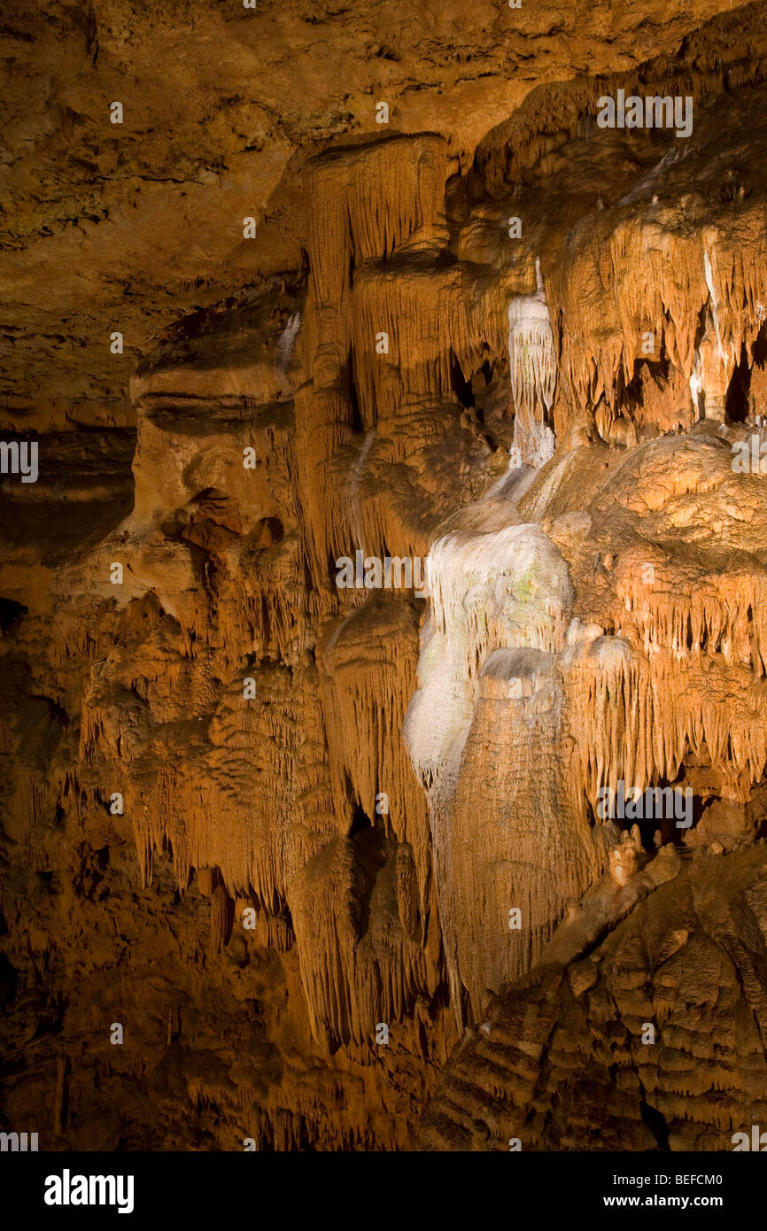 Sinterbildung Königs Baumkronen, Onondaga Cave State Park, Missouri Stockfoto