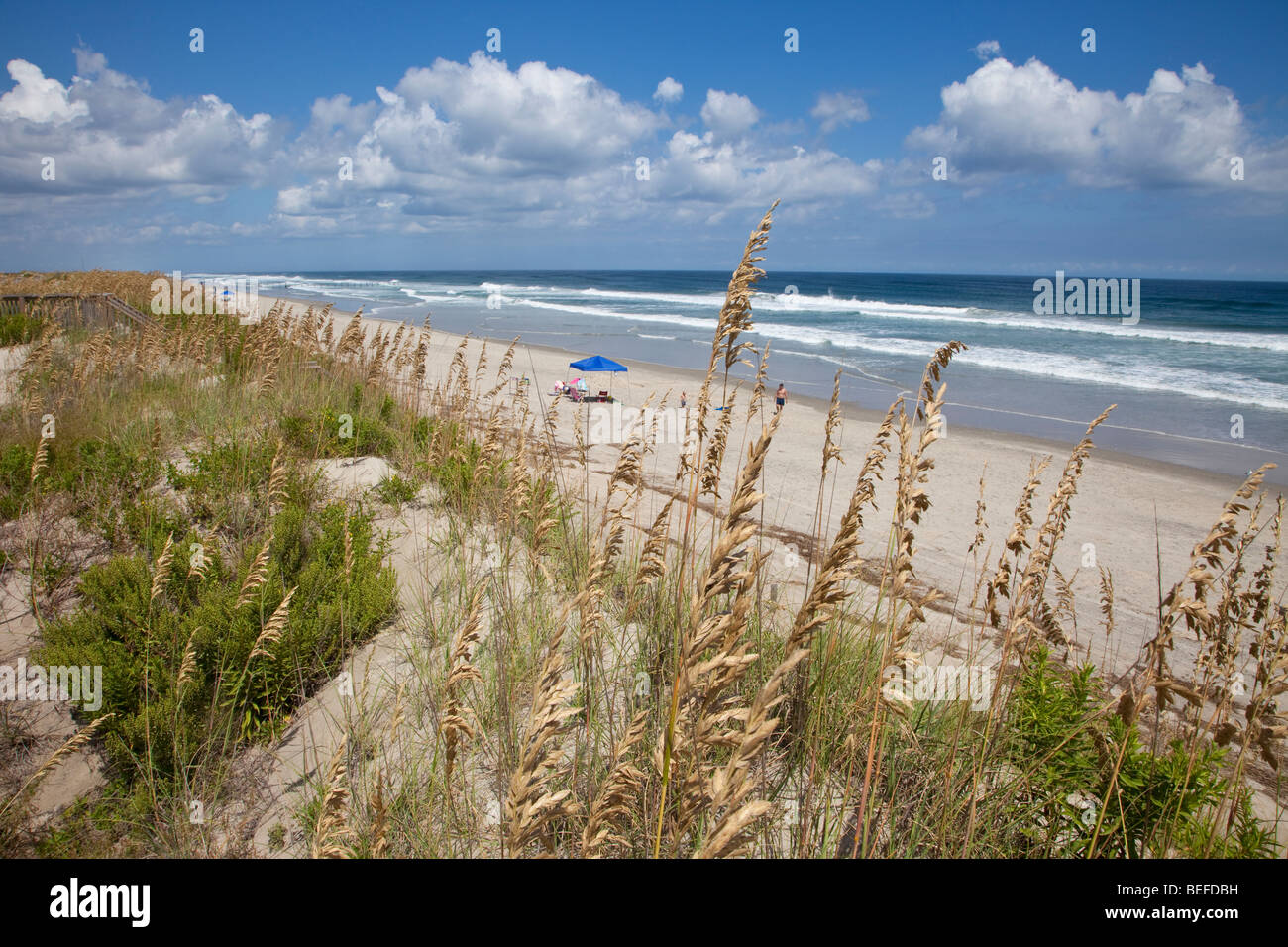 Atlantik, North Carolina Outer Banks.  Sehafer und einem kleinen Sandrücken trennen den Strand von Häusern auf der linken Seite. Stockfoto