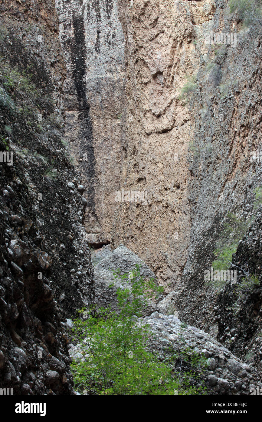 Box Canyon, Slotcanyon Konglomerat Felsen in zentrale Utah. Steile Klippen mit kein Out. Klettergebiete. Stockfoto