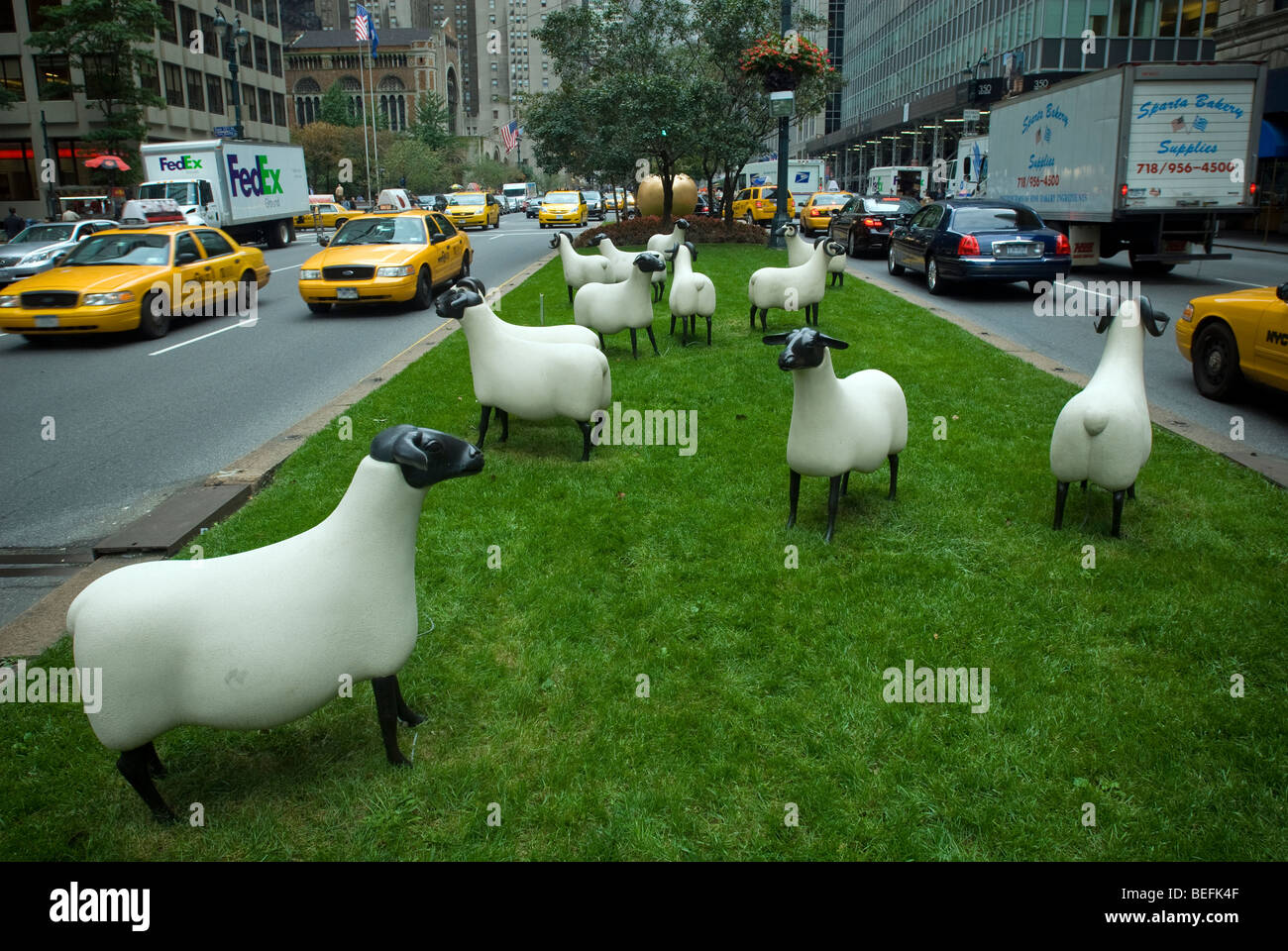 Mouton Transhumant (Brebis) und Beliers, ein Leben Größe Herde ein Dutzend Schafe und Lämmer des Künstlers Francois-Xavier LaLanne Stockfoto