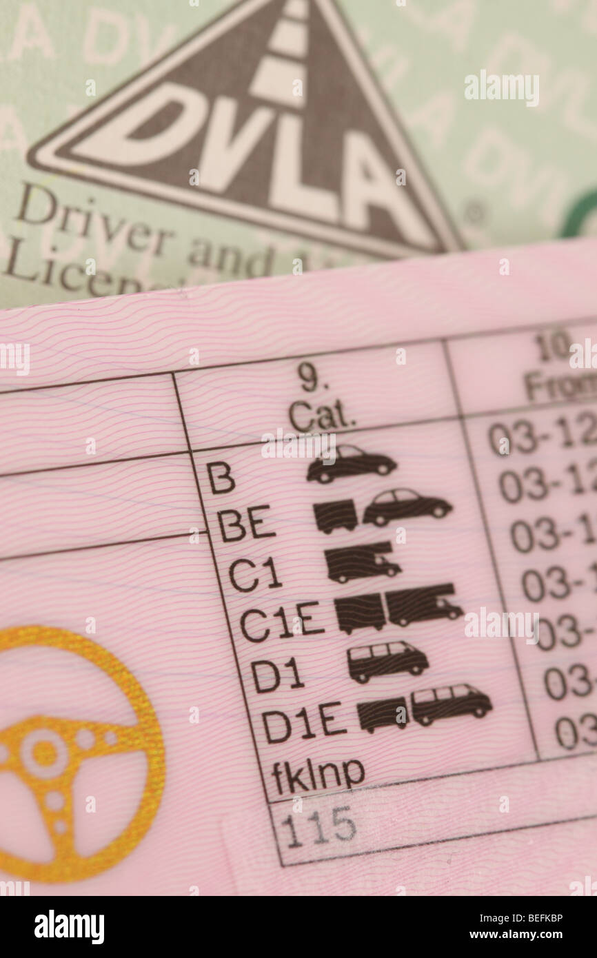 Britischen Führerschein zeigen erlaubt Fahrzeug Kategorien Klassen für Auto van Lieferwagen Stockfoto