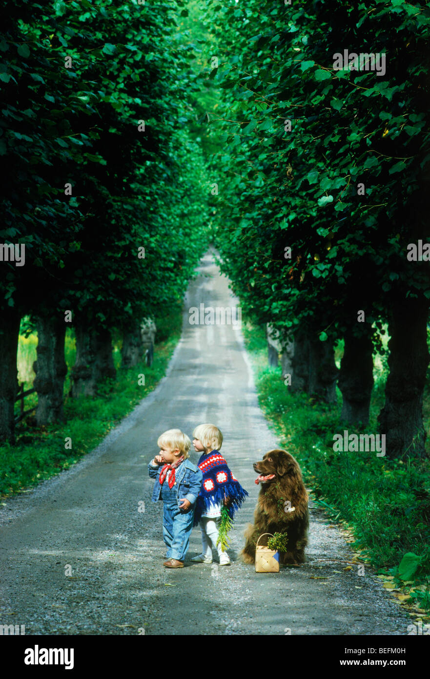 Jungen und Mädchen und Familie Hund auf Bäumen gesäumten Land Feldweg in Schweden Stockfoto