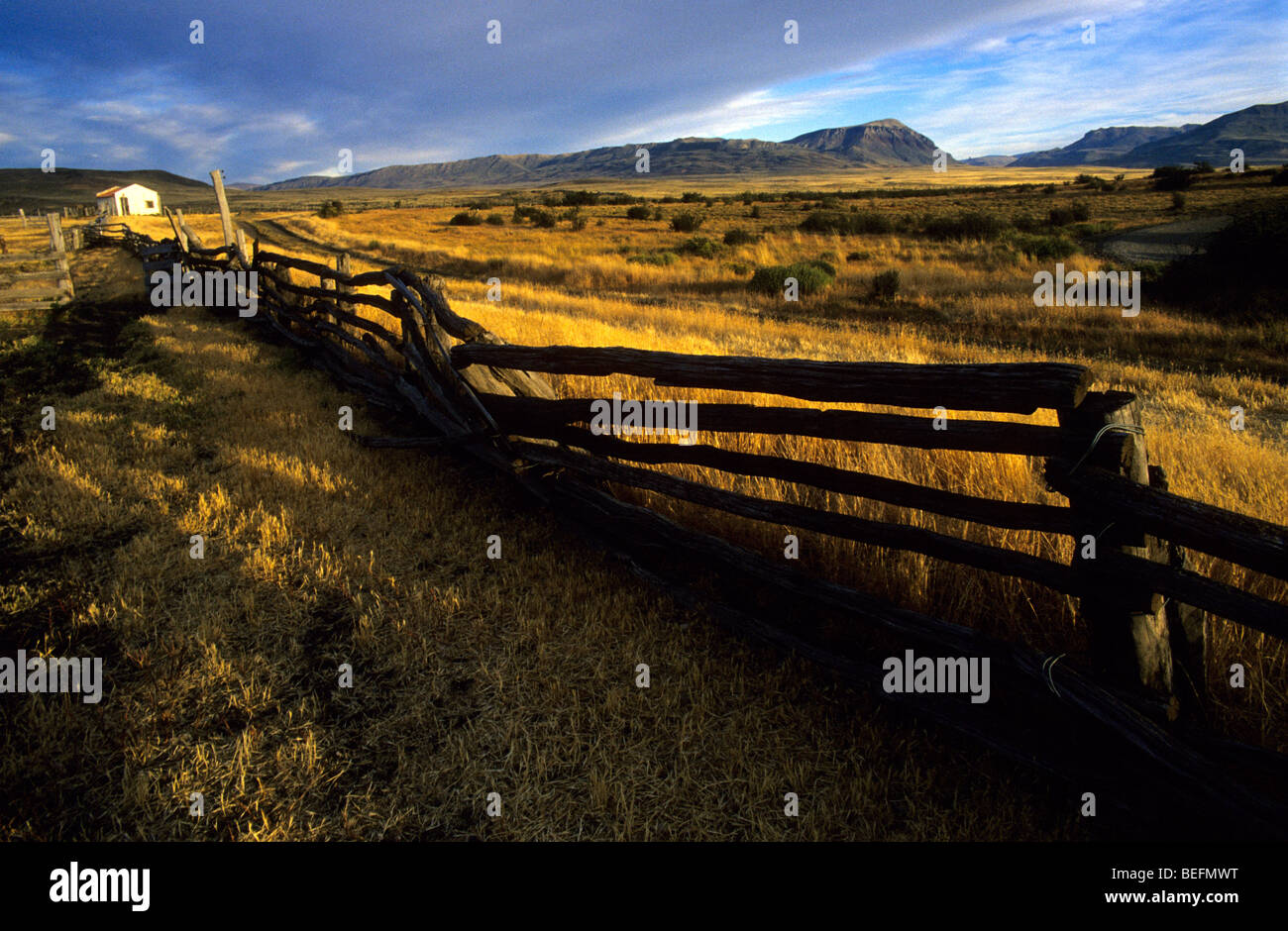 Estancia Alice Landschaft. El Calafate, Provinz Santa Cruz. Patagonien. Argentinien. Stockfoto