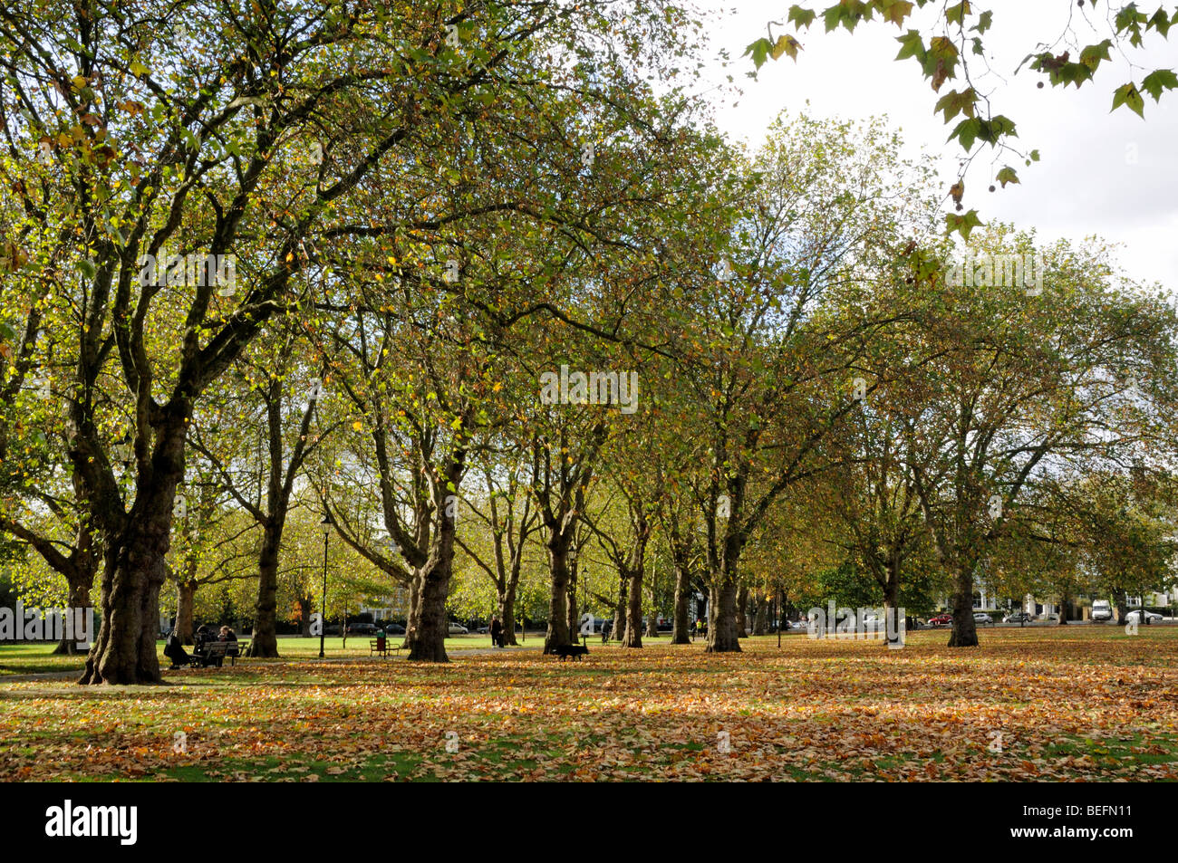Highbury Fields im Herbst mit Laub Stockfoto