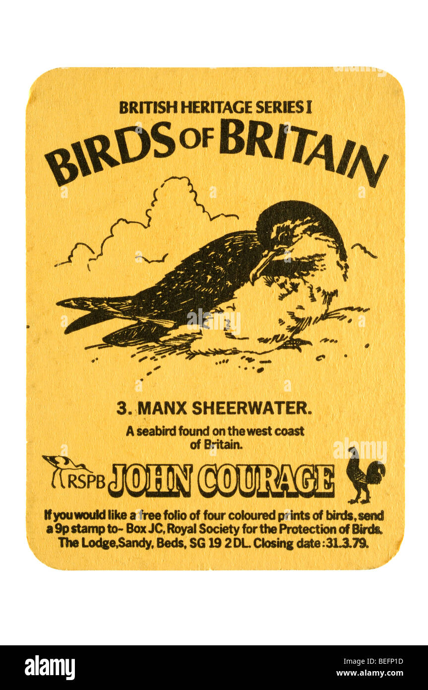 britisches Erbe Serie 1 von Großbritannien 3 Vögel. Manx Sheerwater Rspb Johannes Mut Stockfoto