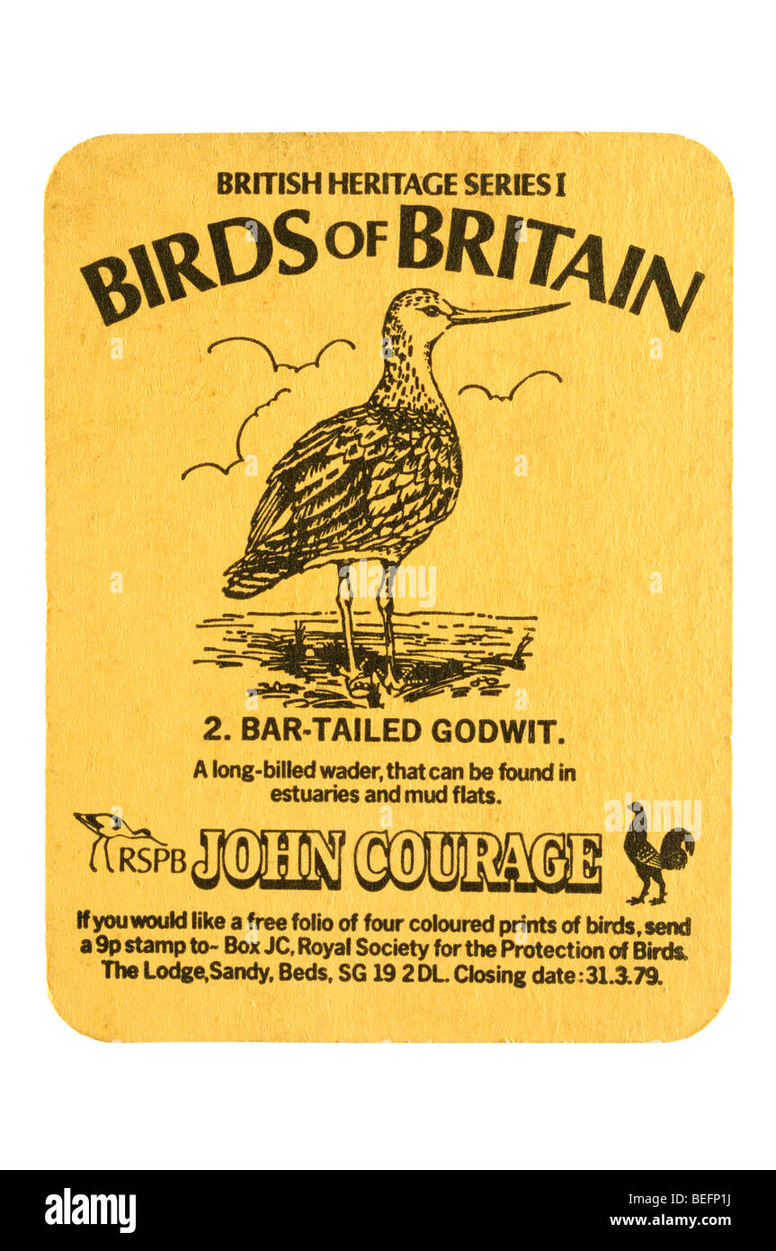 britisches Erbe Serie 1 von Großbritannien 2 Vögel. Bar-tailed Uferschnepfe Rspb Johannes Mut Stockfoto