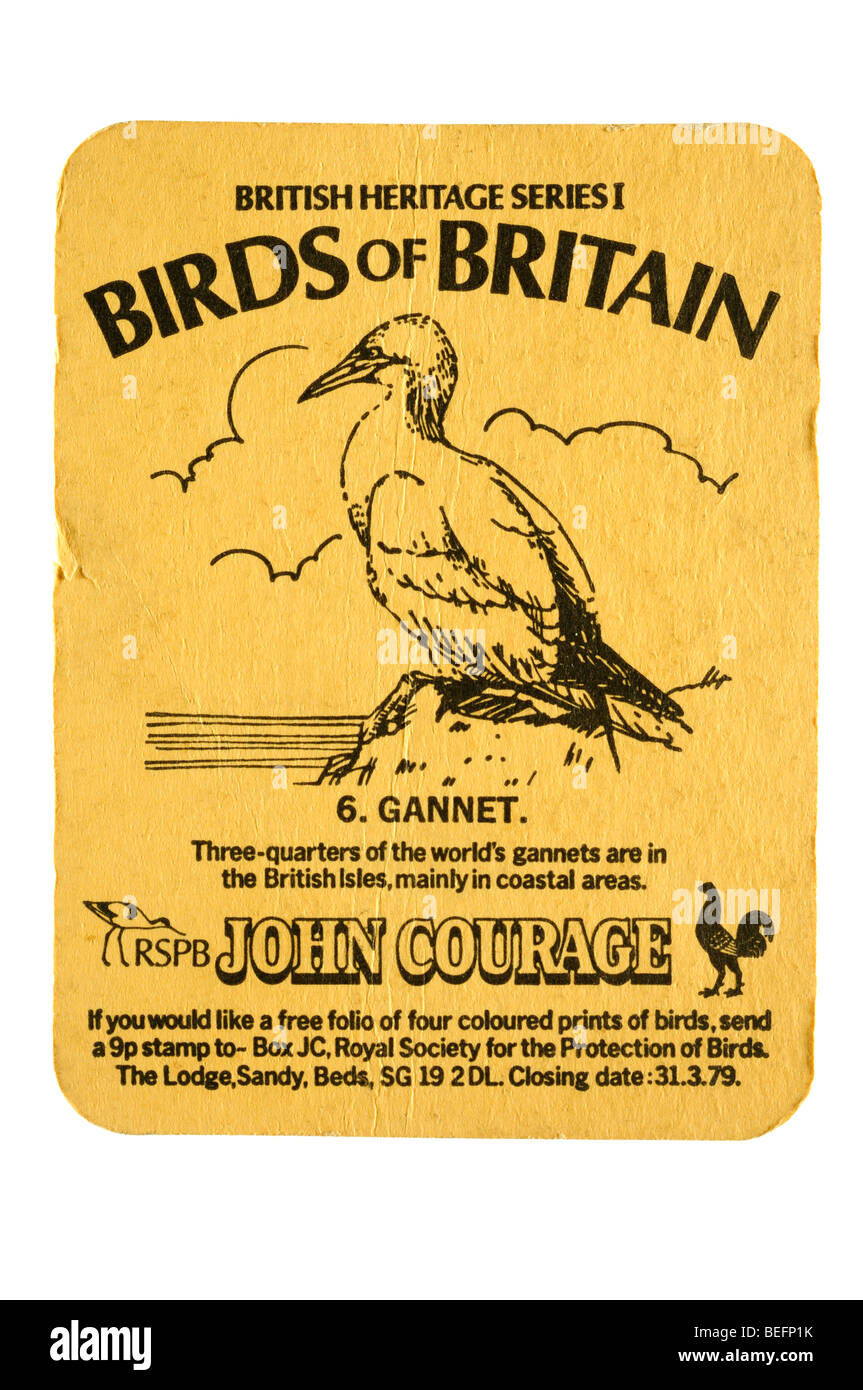 britisches Erbe Serie 1 von Großbritannien 6 Vögel. Gannet Rspb Johannes Mut Stockfoto