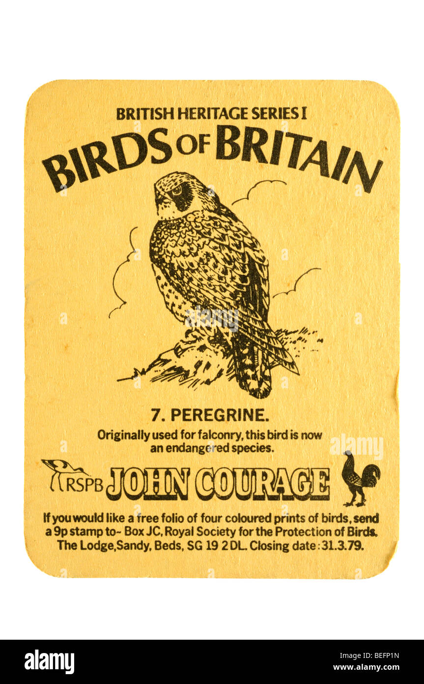 britisches Erbe Serie 1 von Großbritannien 7 Vögel. Peregrine Rspb Johannes Mut Stockfoto