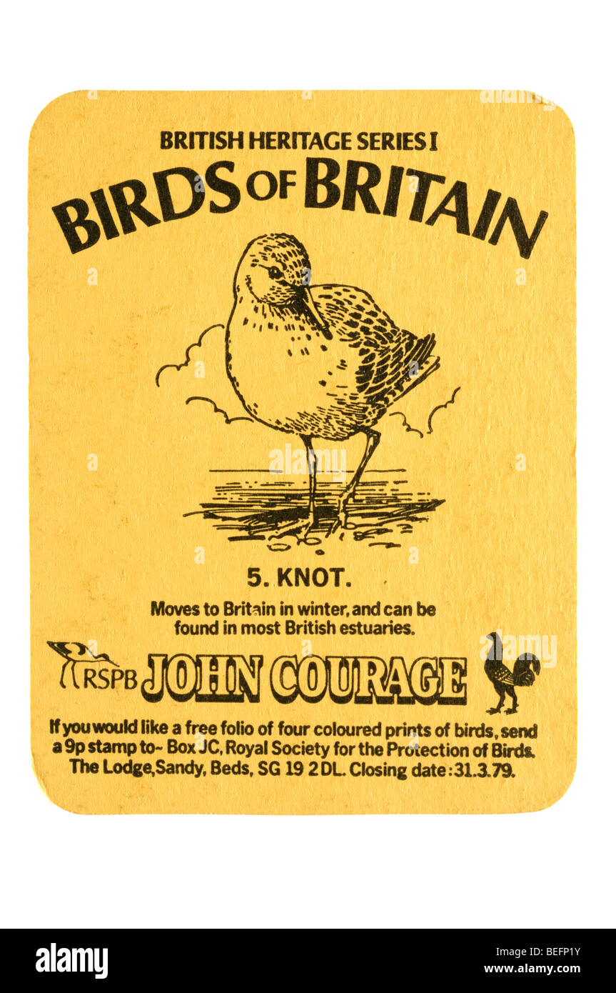 britisches Erbe Serie 1 von Großbritannien 5 Vögel. Knot Rspb Johannes Mut Stockfoto