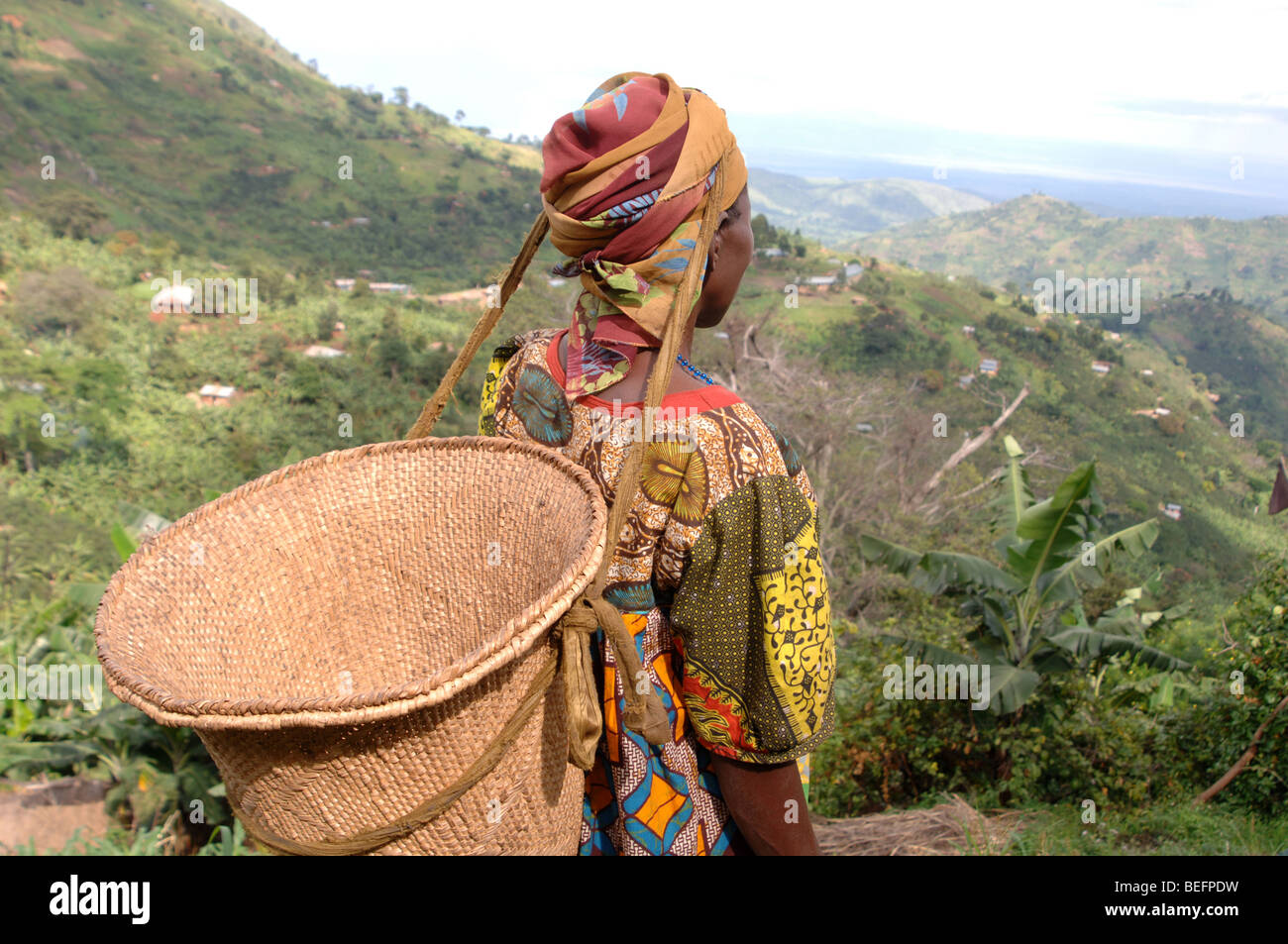 Bakonzo Frau Weg zur Arbeit in den Bereichen mit einem Korb auf dem Rücken, Ruwenzori-Gebirge, West-Uganda, Afrika Stockfoto