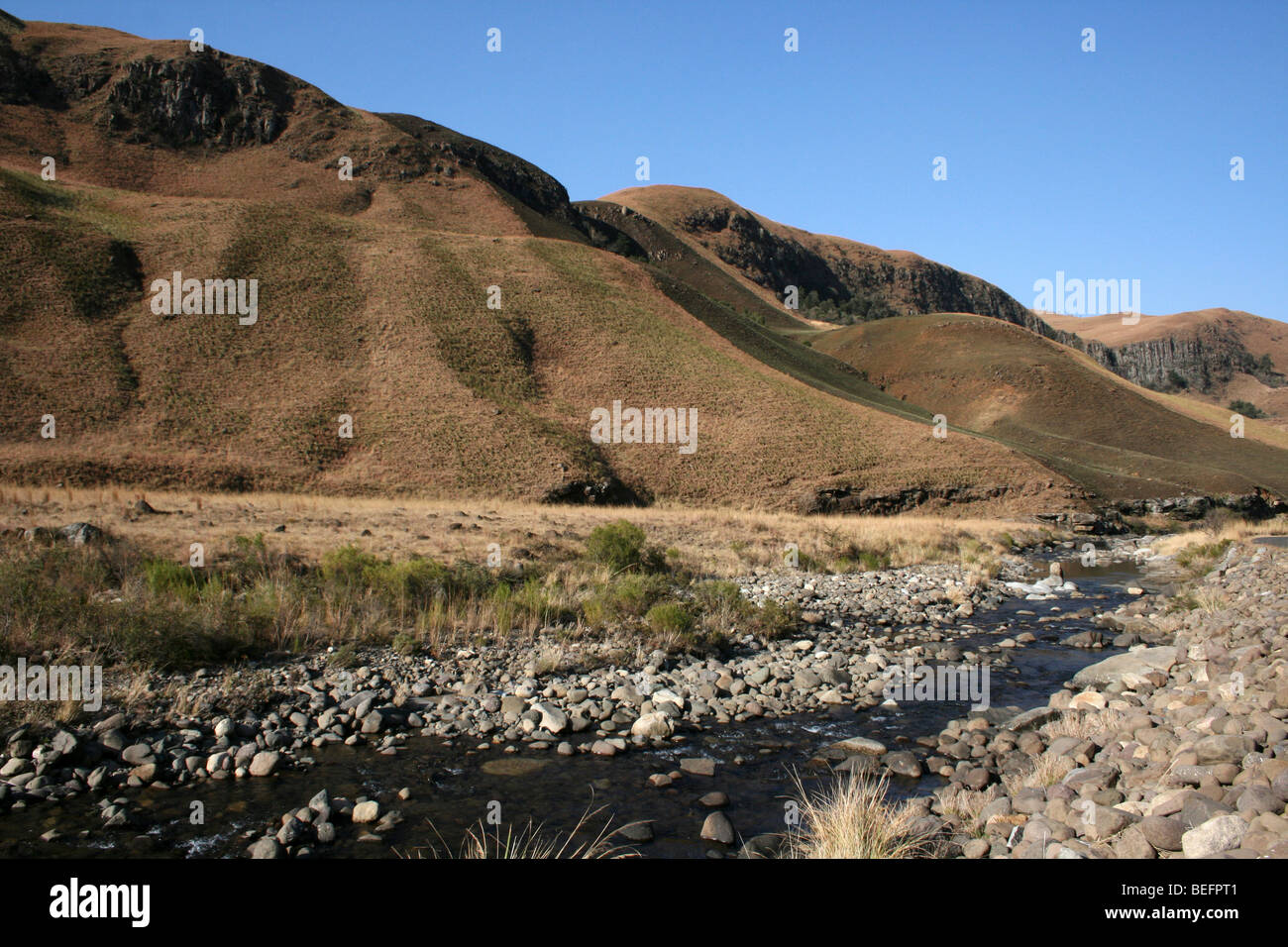 Gebirgsfluss In den Drakensbergen, Südafrika Stockfoto