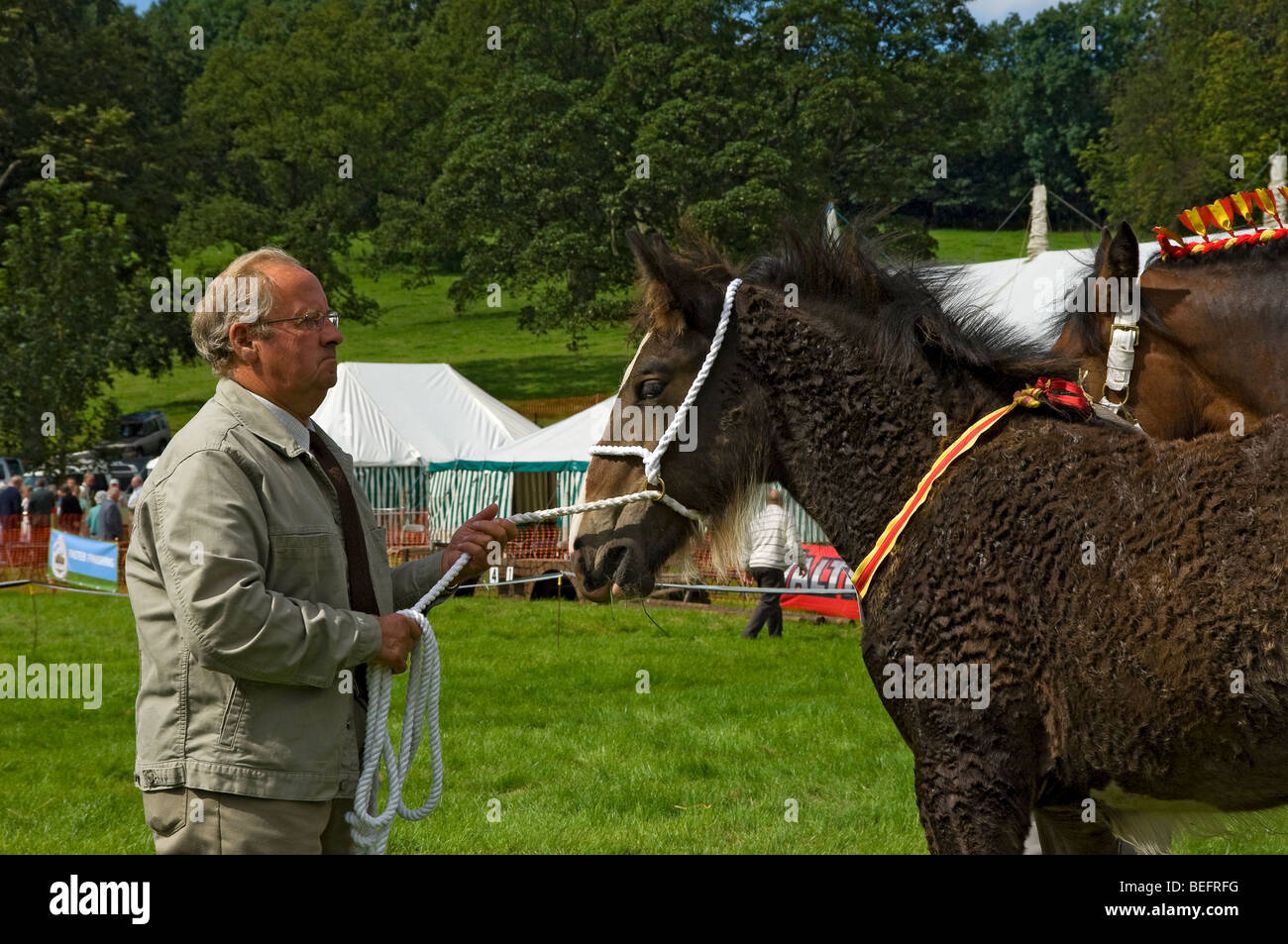 Zuchtstute Pferd und Fohlen im Wettbewerb auf der Gargrave Show in der Nähe Skipton North Yorkshire England Vereinigtes Königreich GB Großbritannien Stockfoto