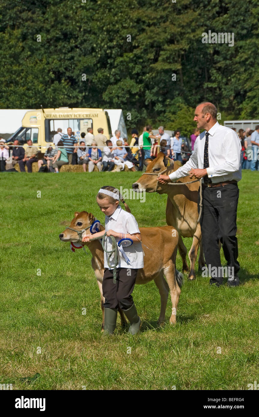 Jersey Kalb von jungen Mädchen an Skipton zeigen im Sommer in der Nähe von Skipton North Yorkshire England UK Vereinigtes Königreich GB Großbritannien geführt wird Stockfoto