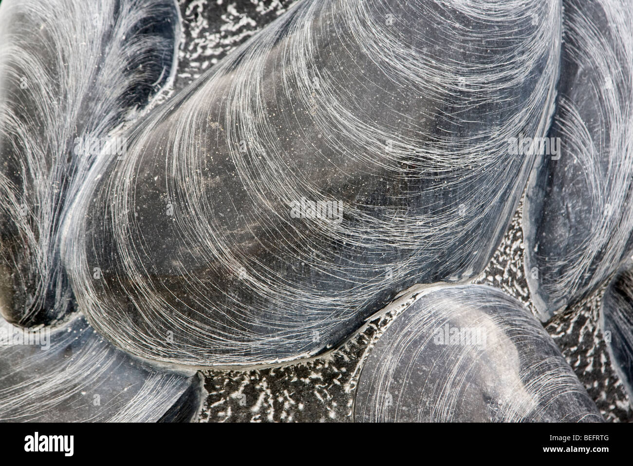 Muschel Skulptur Conwy Wales Großbritannien Großbritannien Europa Stockfoto