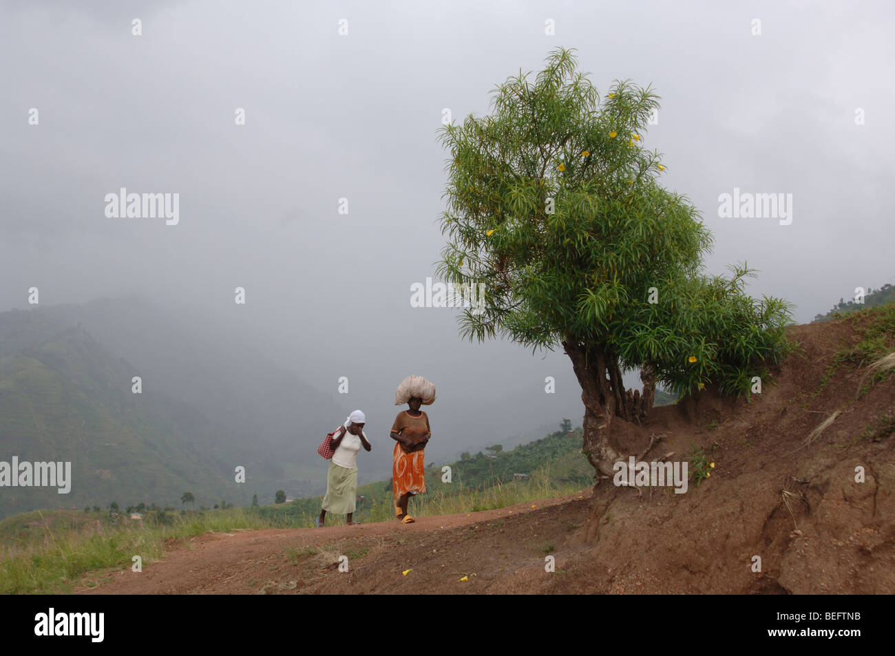 Bakonzo Frauen, Ruwenzori-Gebirge, West-Uganda, Afrika Stockfoto