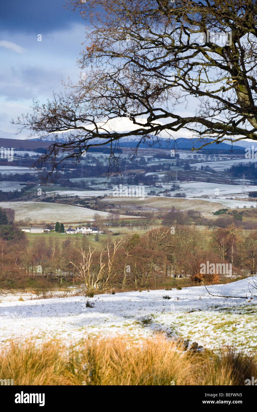 geringe Schärfentiefe Feldbild der schottischen Landschaft an einem kalten Wintertag Stockfoto