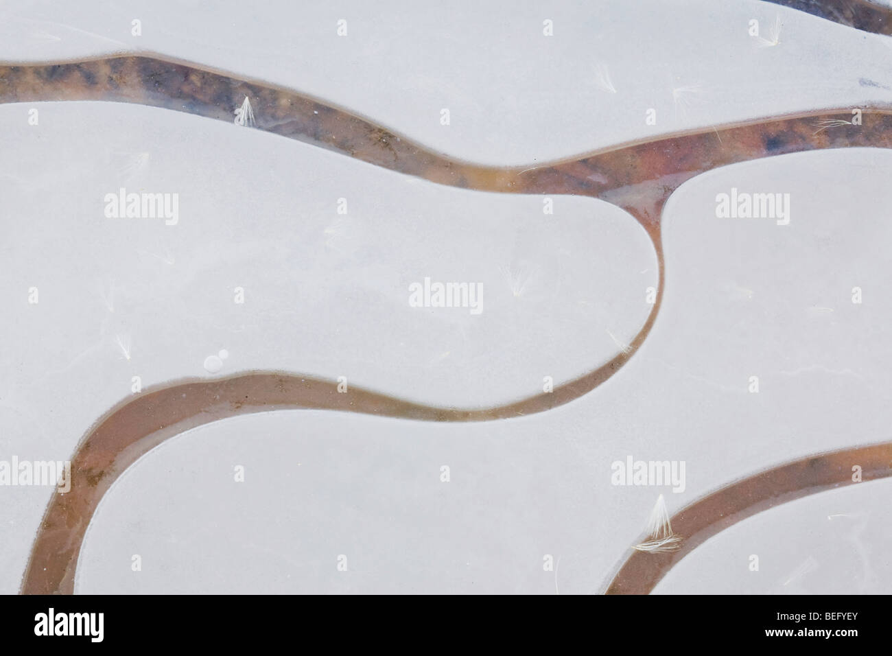 Eis-Muster, Haw River State Park, Pittsboro, North Carolina, USA Stockfoto