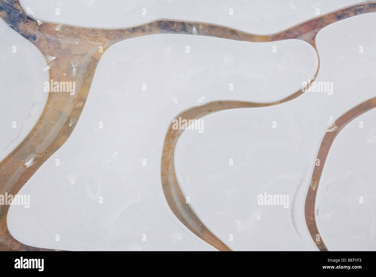 Eis-Muster, Haw River State Park, Pittsboro, North Carolina, USA Stockfoto