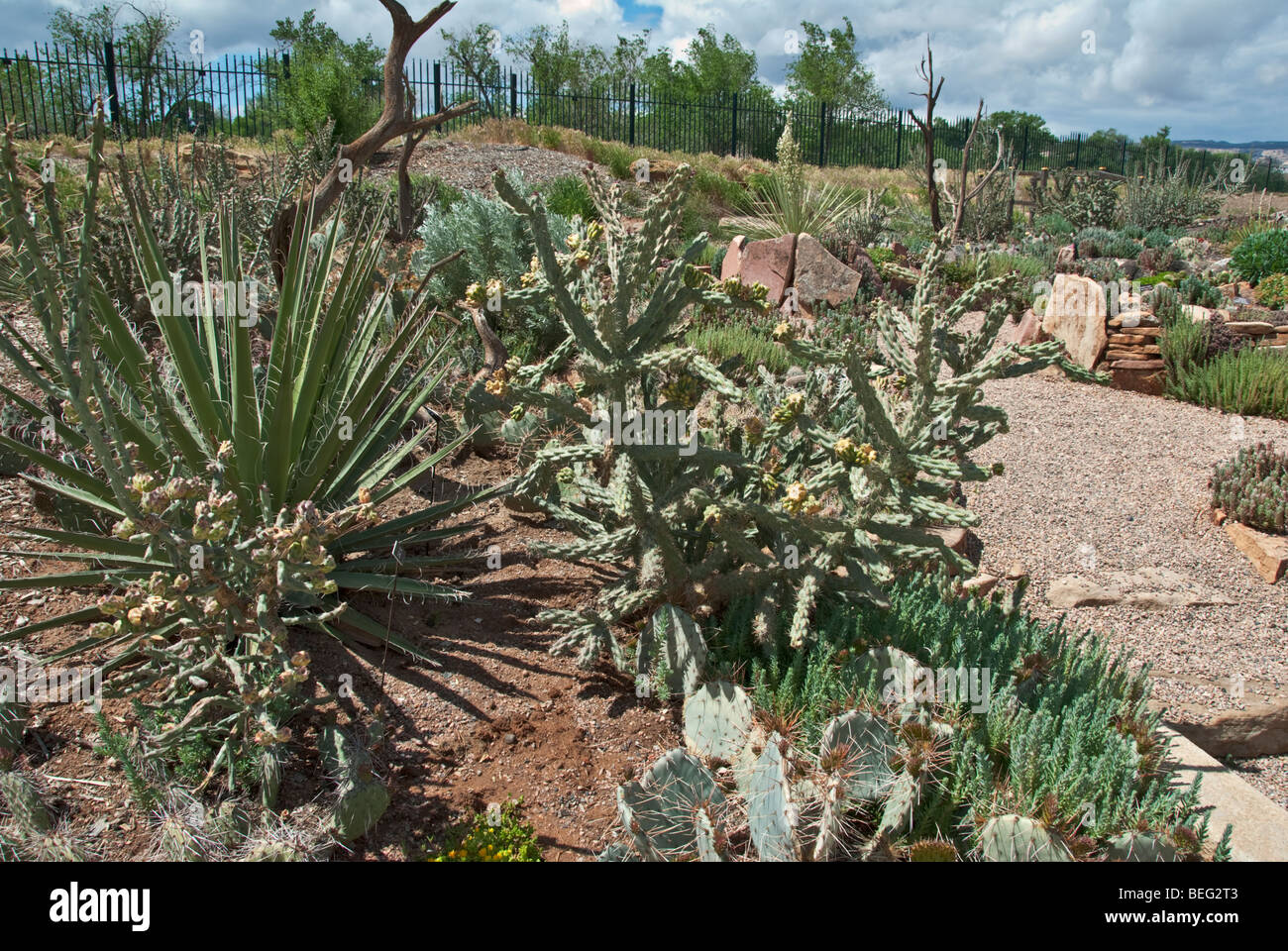 Colorado Grand Junction Western Colorado Botanical Gardens Stockfoto