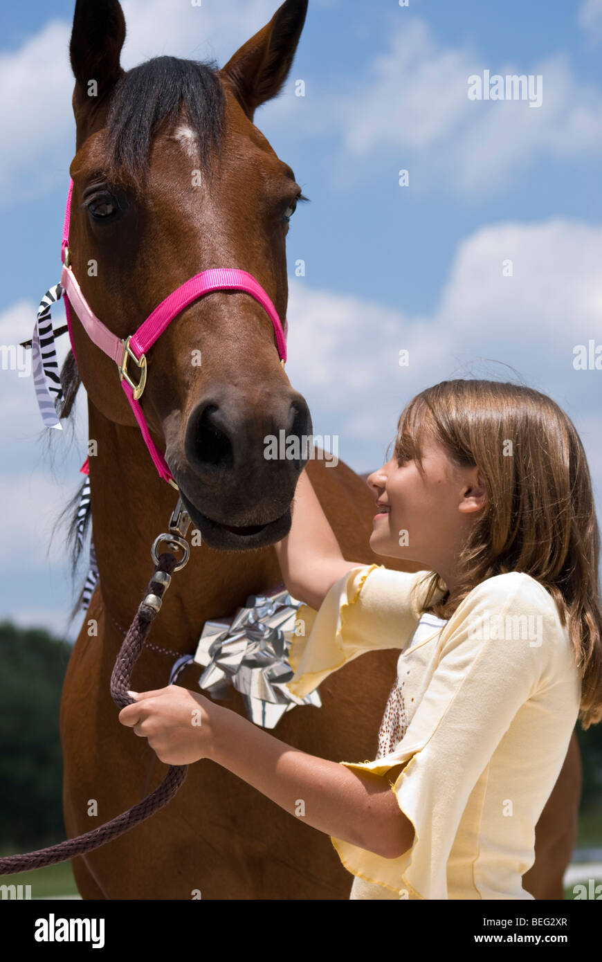 Ein kleines Mädchen mit Freude und Zuneigung auf ein schönes Pferd, das ihr als Geschenk zum Geburtstag geschenkt worden ist. Stockfoto