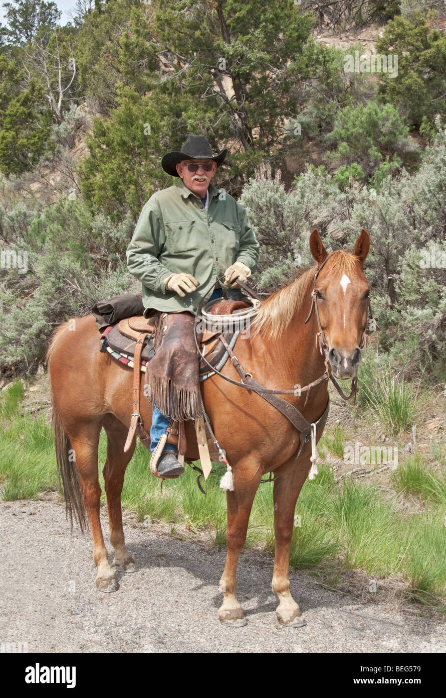 Cowboy zu Pferd western Colorado Stockfoto
