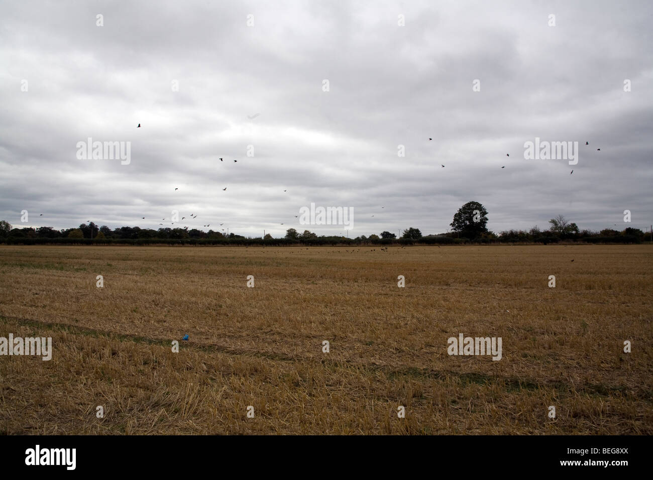 Den Bereichen Osterley Bauernhof im Herbst, Osterley West London Stockfoto