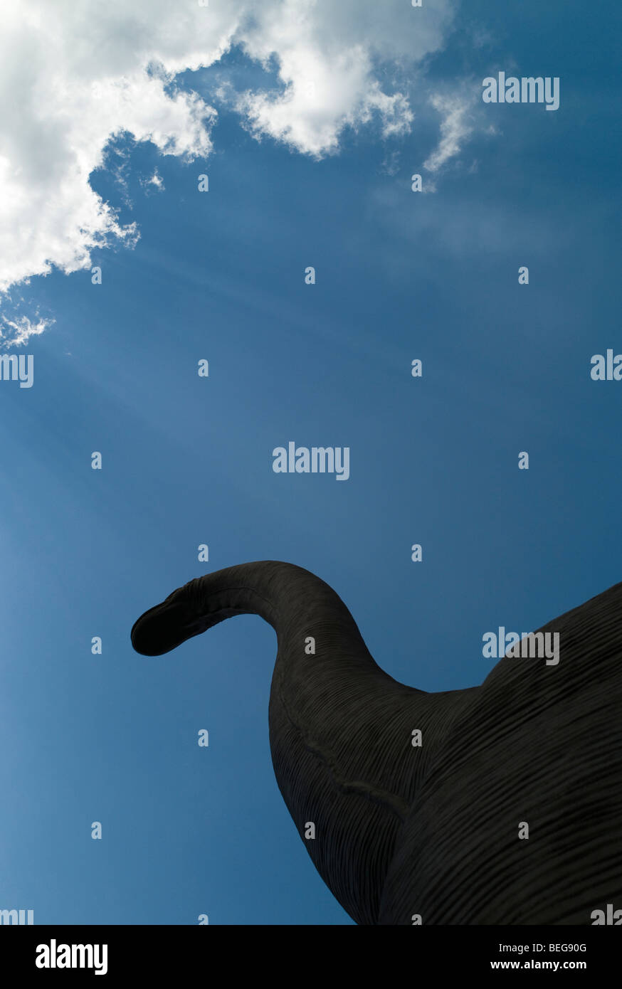 Riesige Brontosaurus unter blauem Himmel in Ausstellung Stockfoto