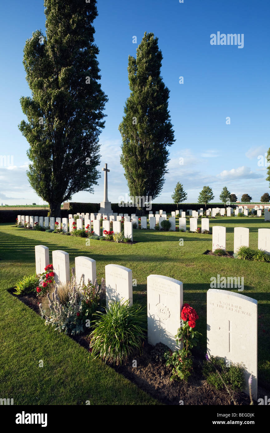 Ersten Weltkrieg britischer Soldatenfriedhof mit Pappeln. Stockfoto