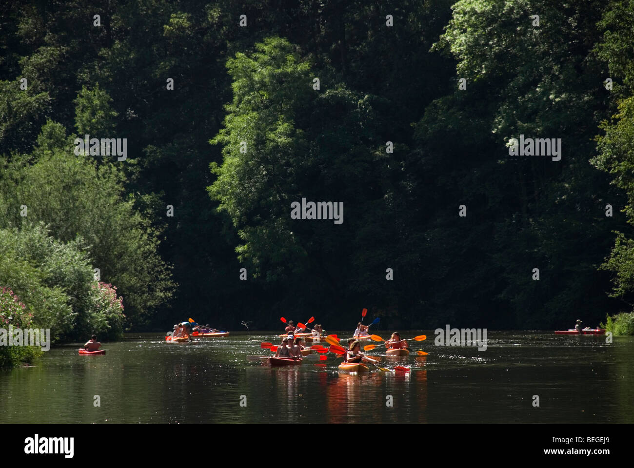 Kanuten auf der Semois, Belgien Stockfoto