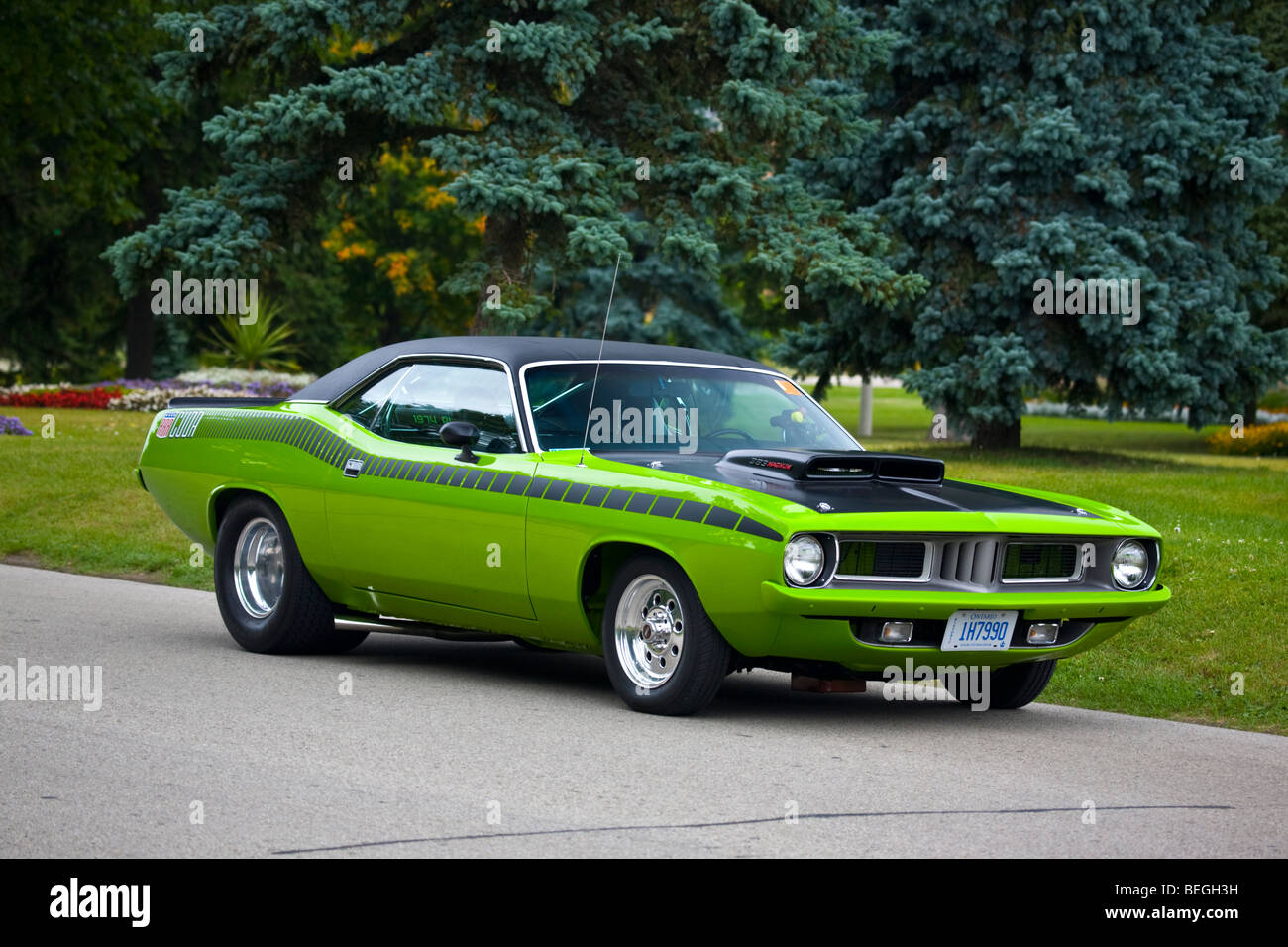 1974 Plymouth Barracuda Muscle-Car Stockfotografie - Alamy, image size:1300x956